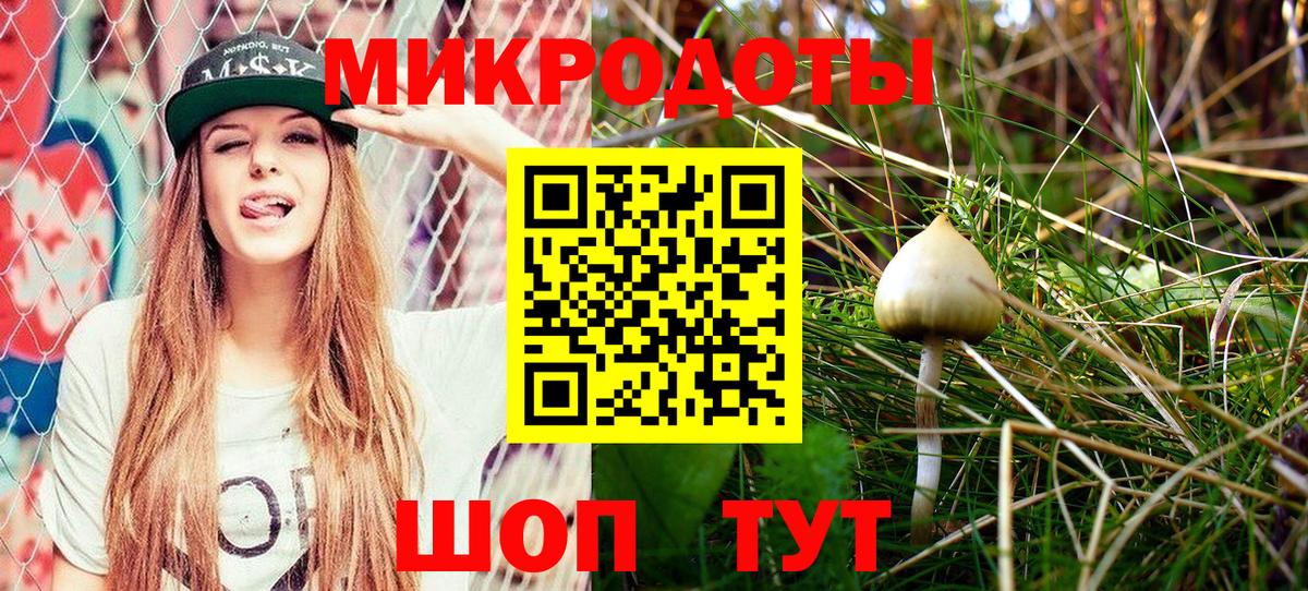 Галлюциногенные грибы Psilocybe  Псилоцибиновые грибы мицелий  Озёрск  Вход с VPN 